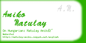 aniko matulay business card